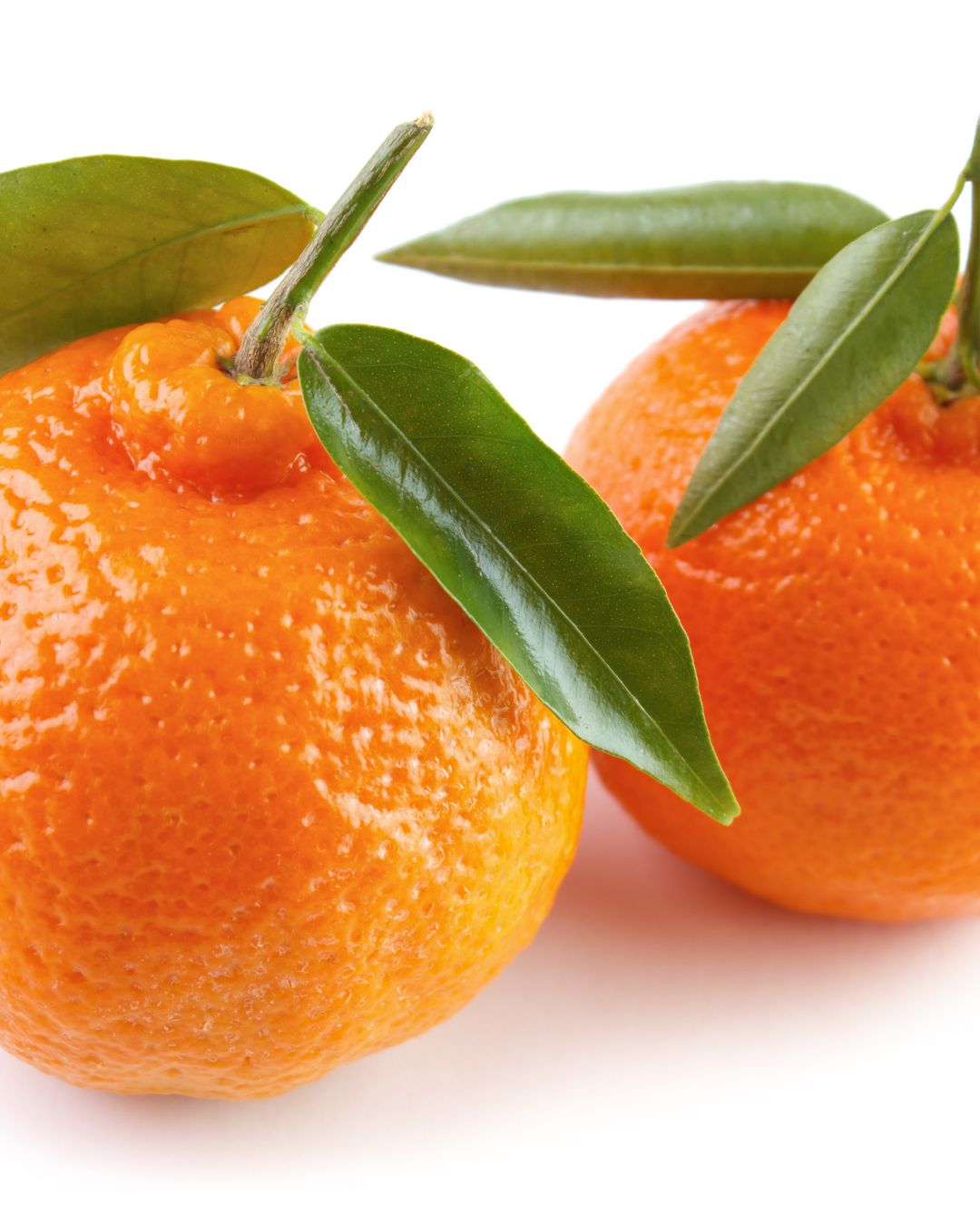 11-CARLEVARI-NOVEMBRE (Post Instagram (45))