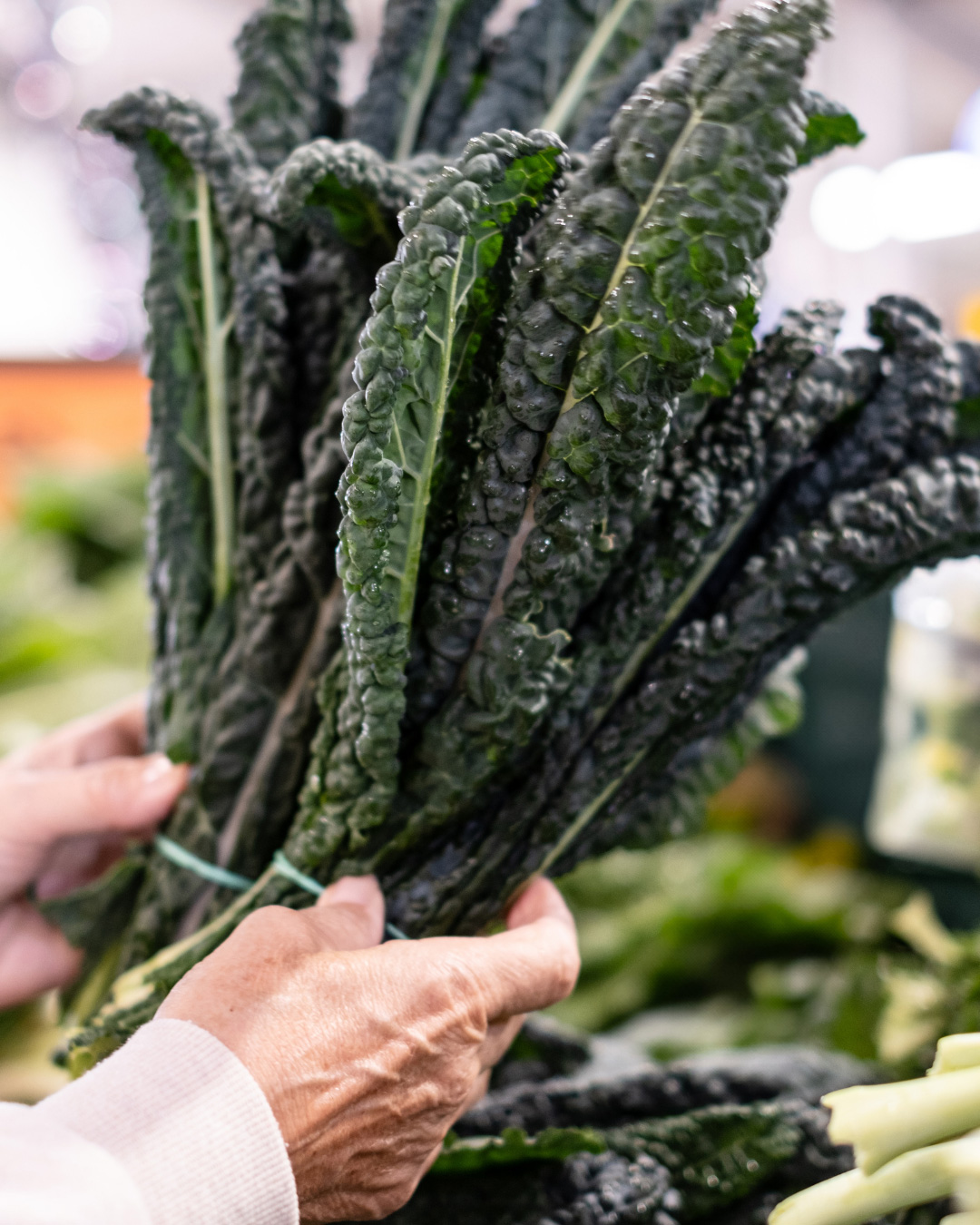 Cavolo nero