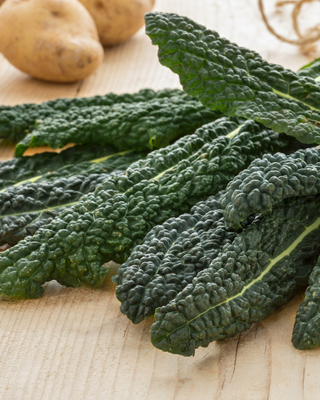 Cavolo nero