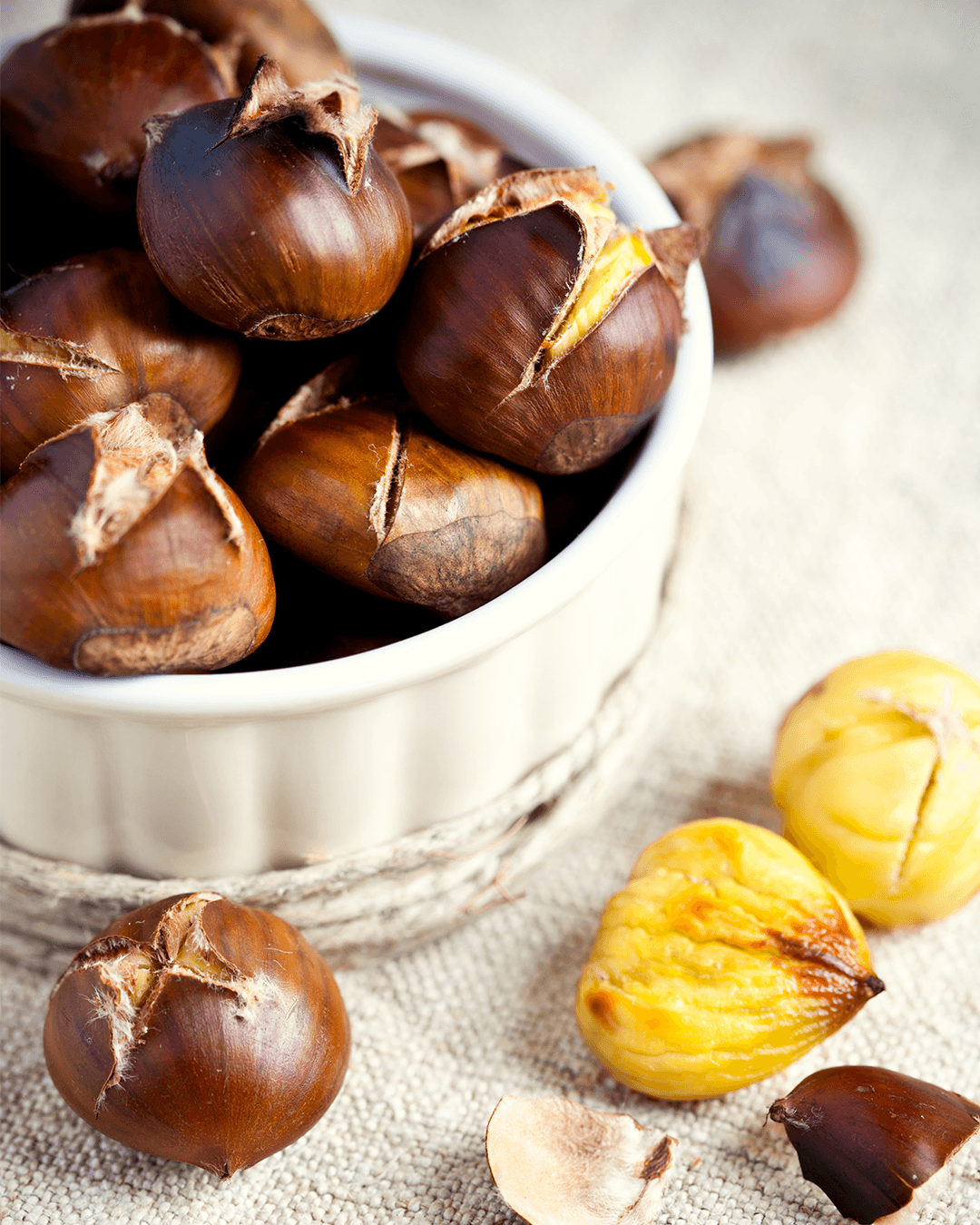 castagne5 (1)